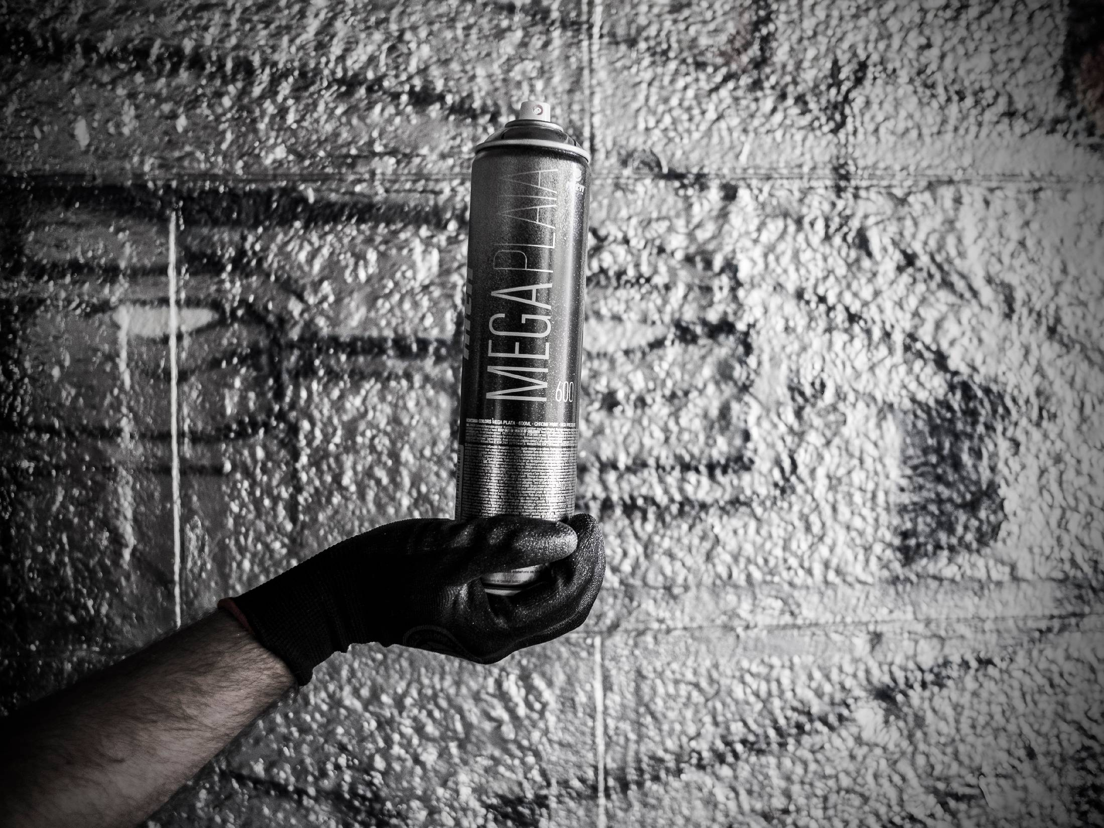 Obrázek: mtn-mega-silver-5829