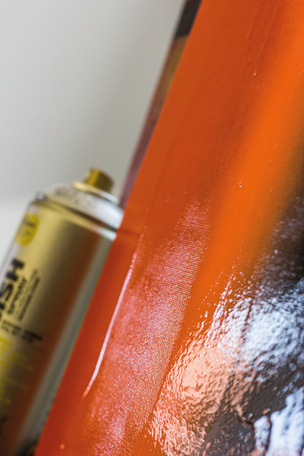 Obrázek: 1408-varnish-hd-9526