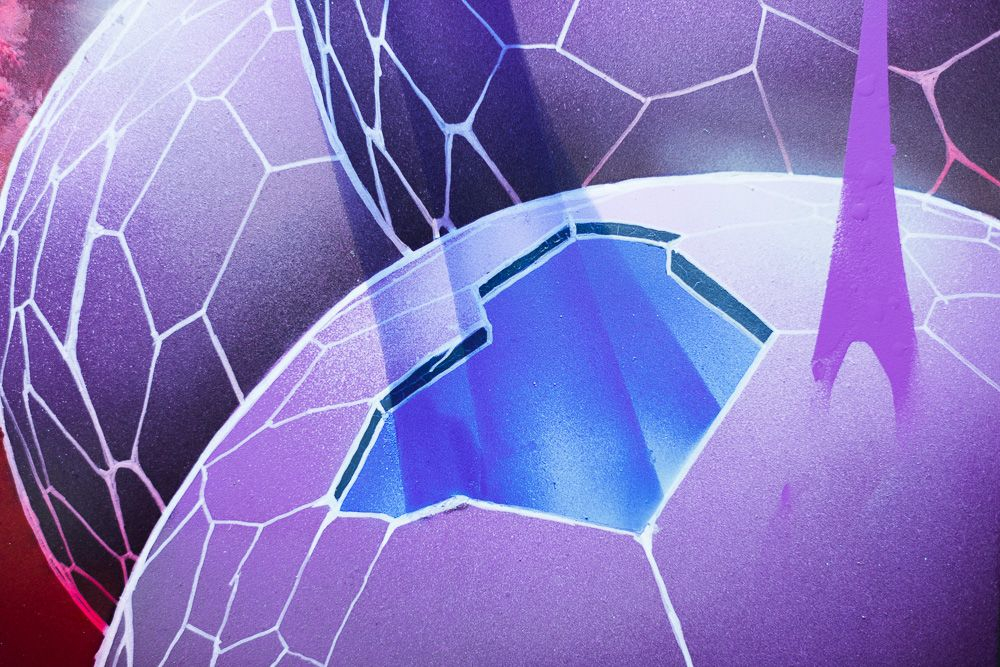 Obrázek: 1503-jeroo-montana-transparent-6848-1920x1920