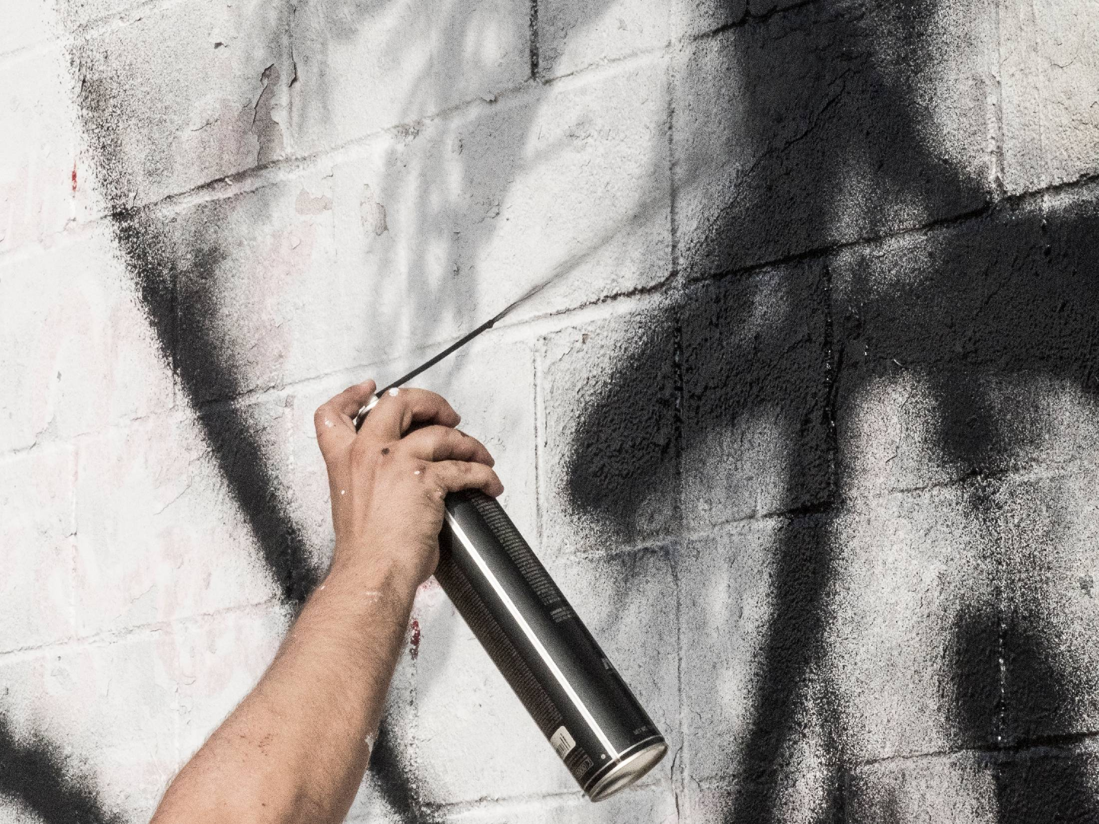 Obrázek: imagen-5674