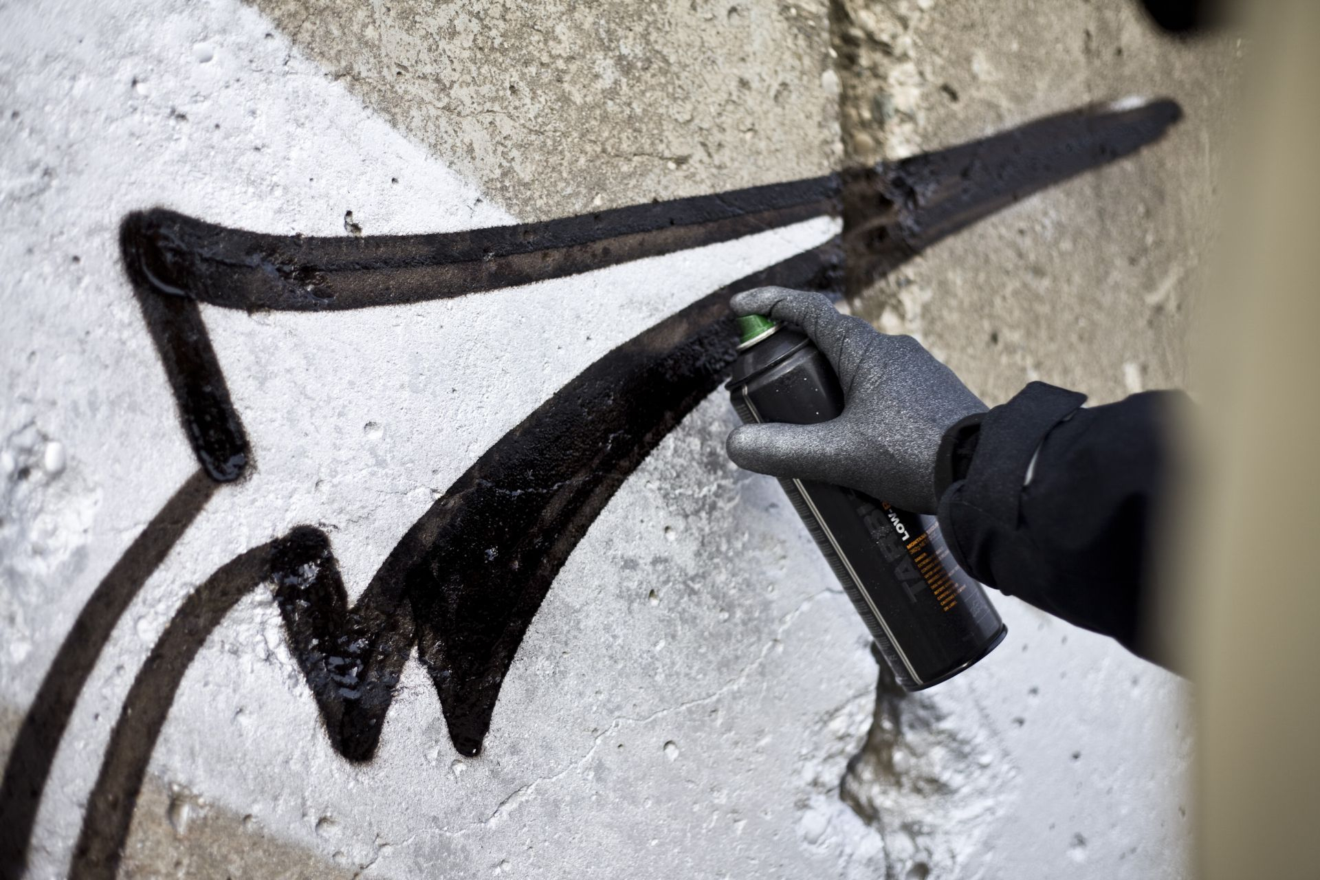 Obrázek: mg-8955-1920x1920