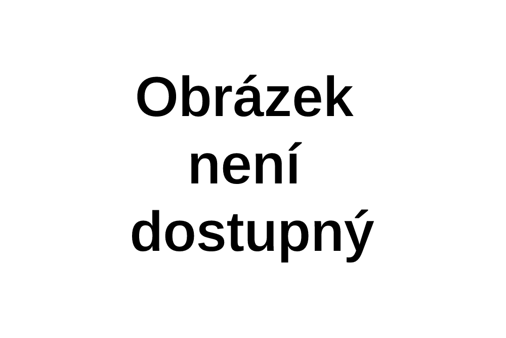 Sneaker Coloring Book